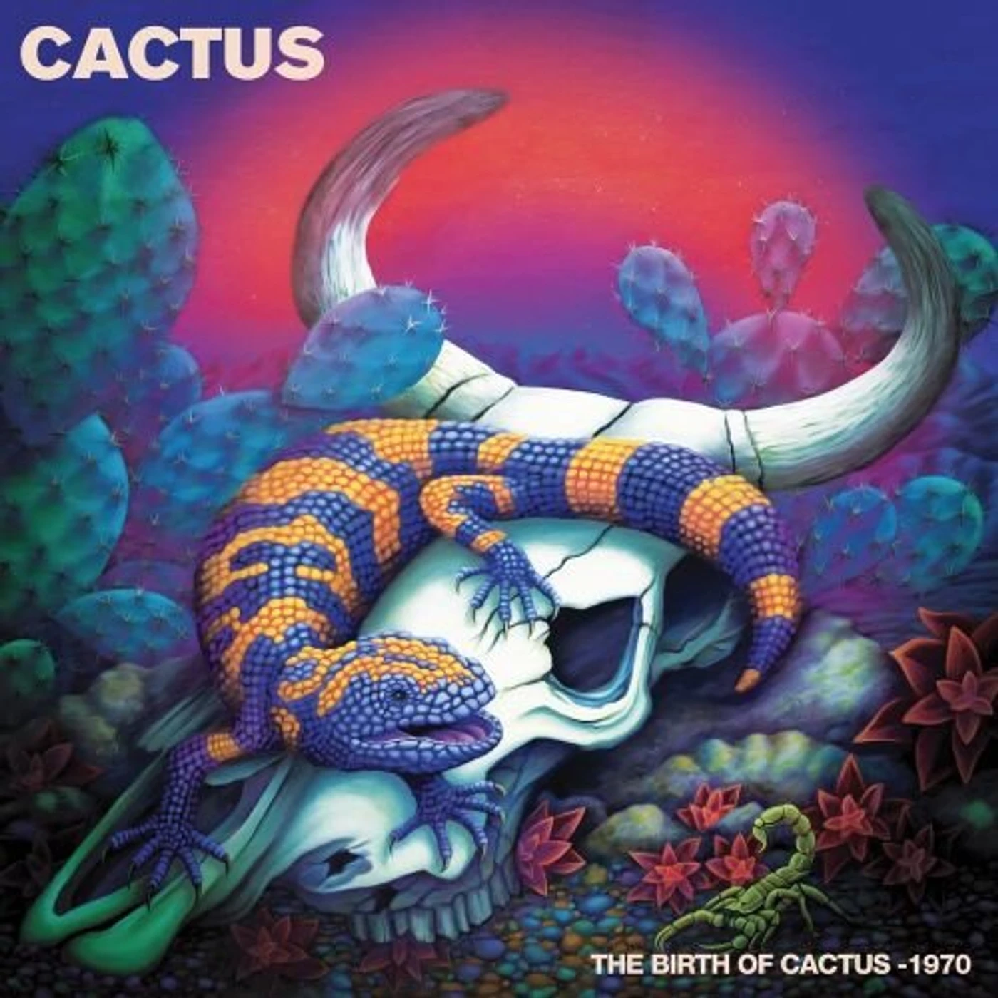 BIRTH OF CACTUS - 1970 (PURPLE VINYL) Vinyl Record