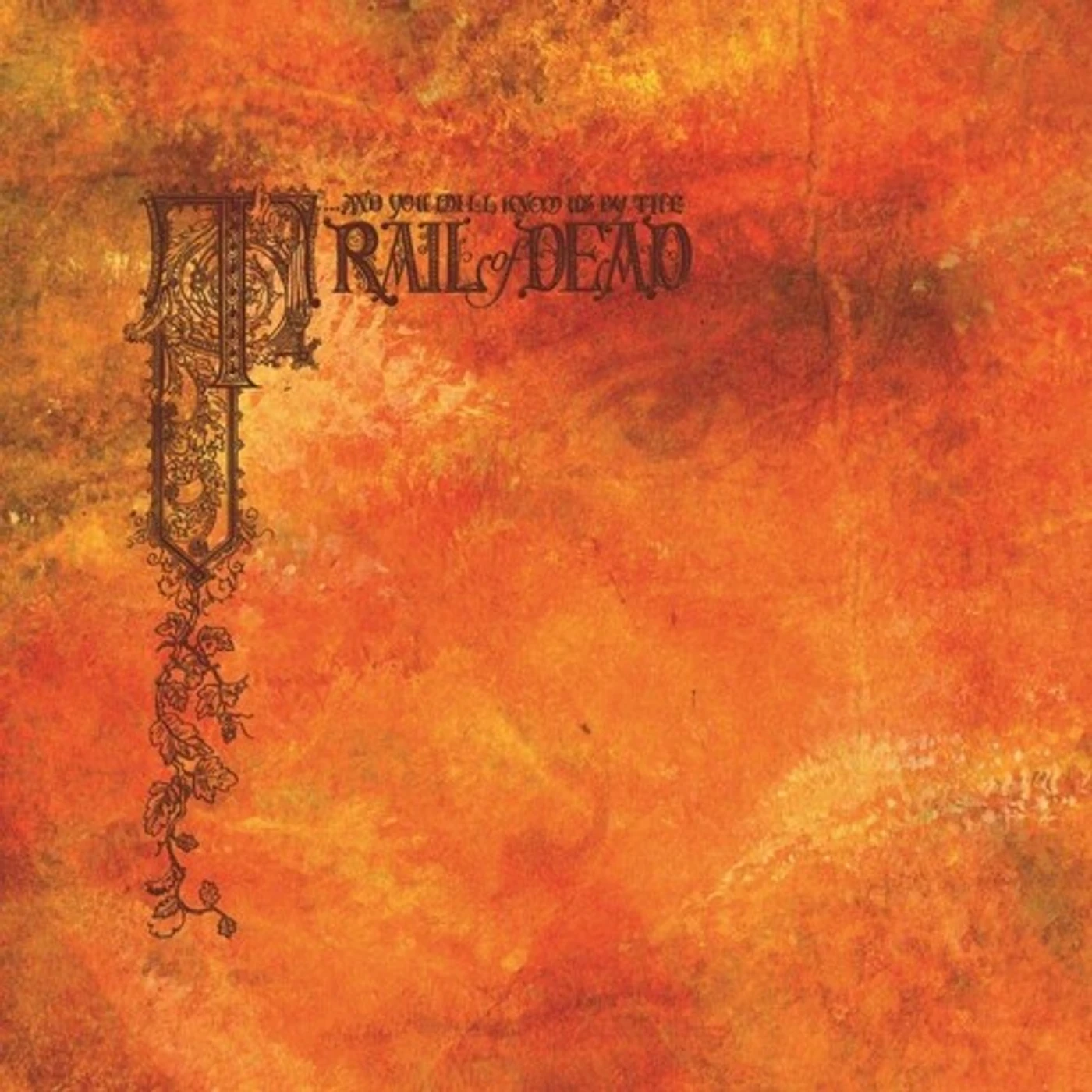 ...And You Will Know Us by the Trail of Dead Source Tags & Codes Vinyl Record