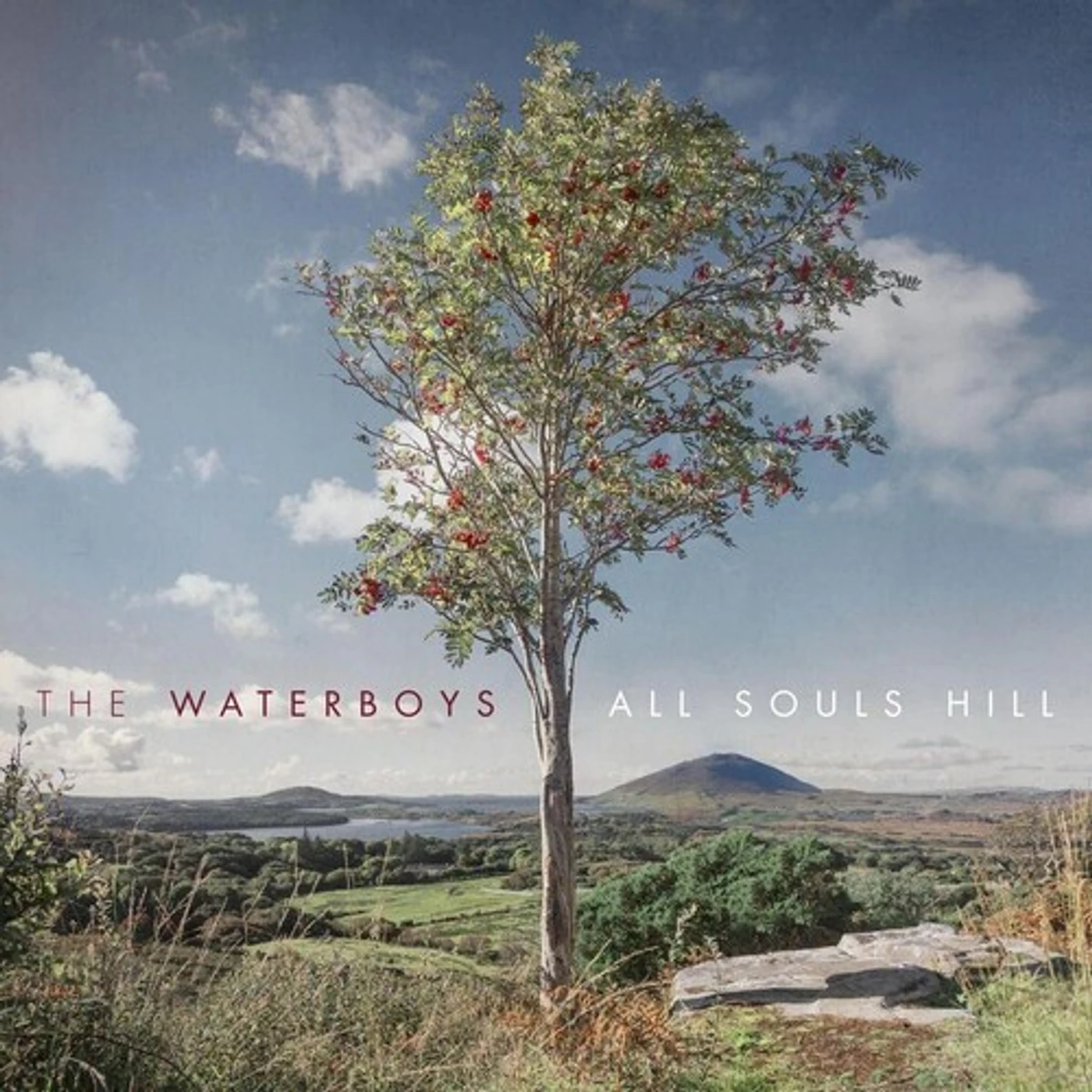 The Waterboys ALL SOULS HILL CD
