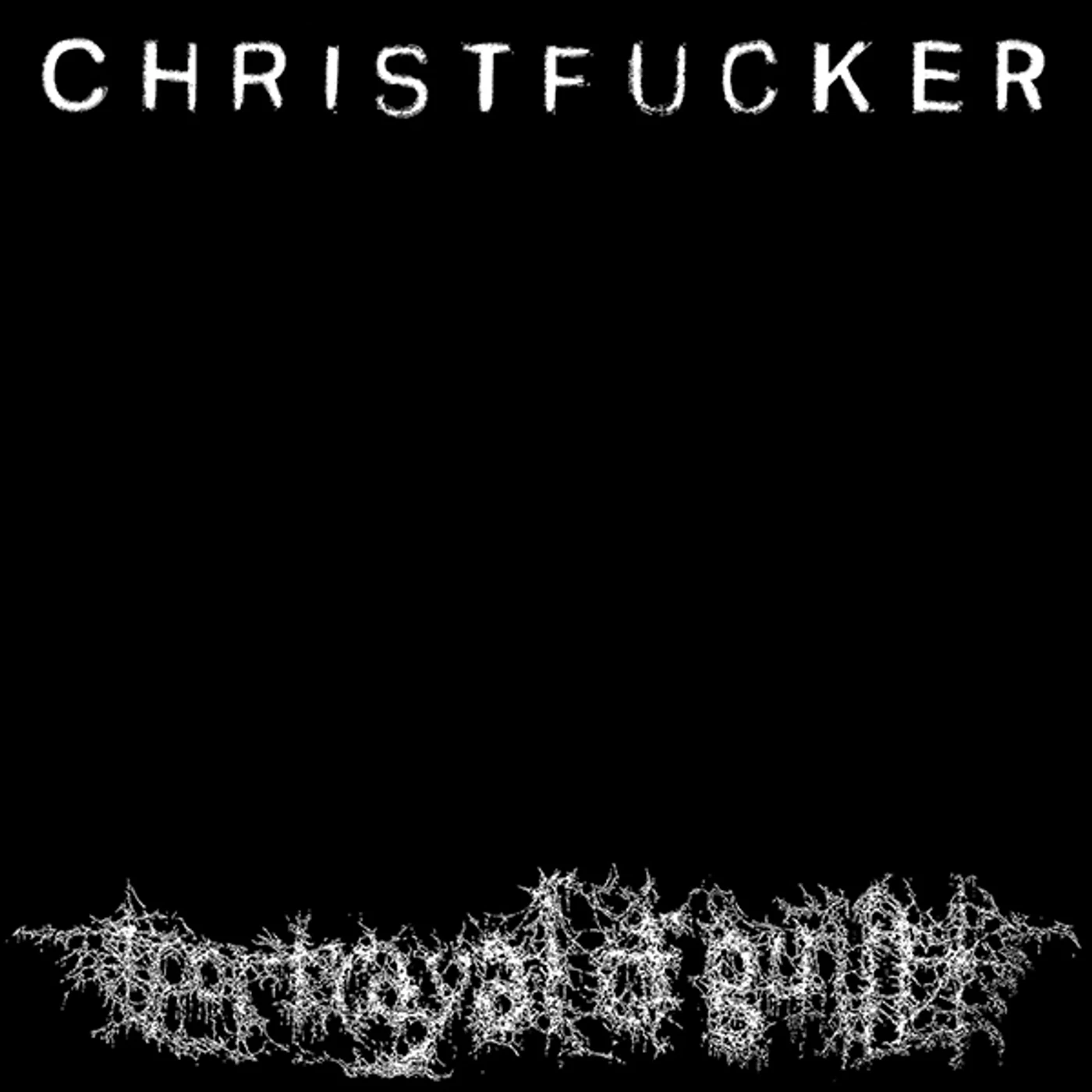 Portrayal of Guilt CHRISTFUCKER Vinyl Record