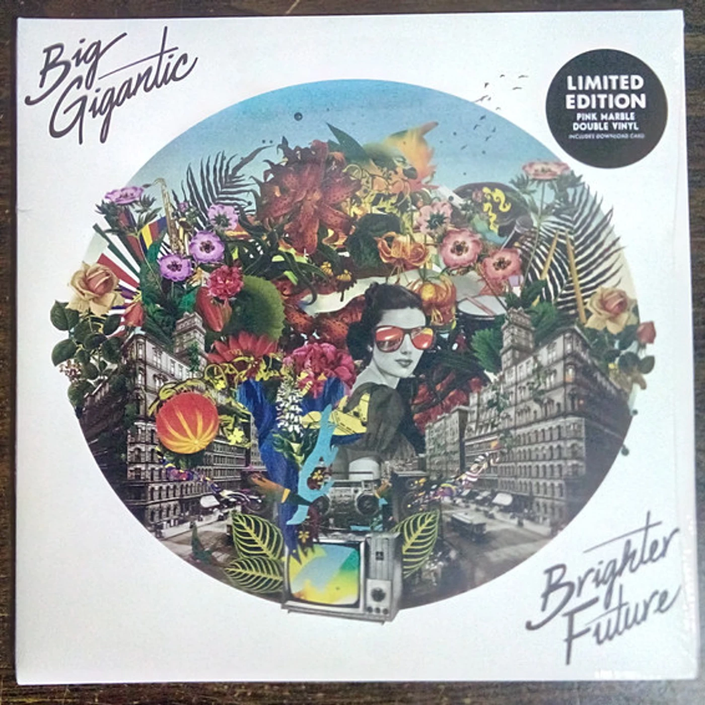 Big Gigantic Brighter Future Vinyl Record