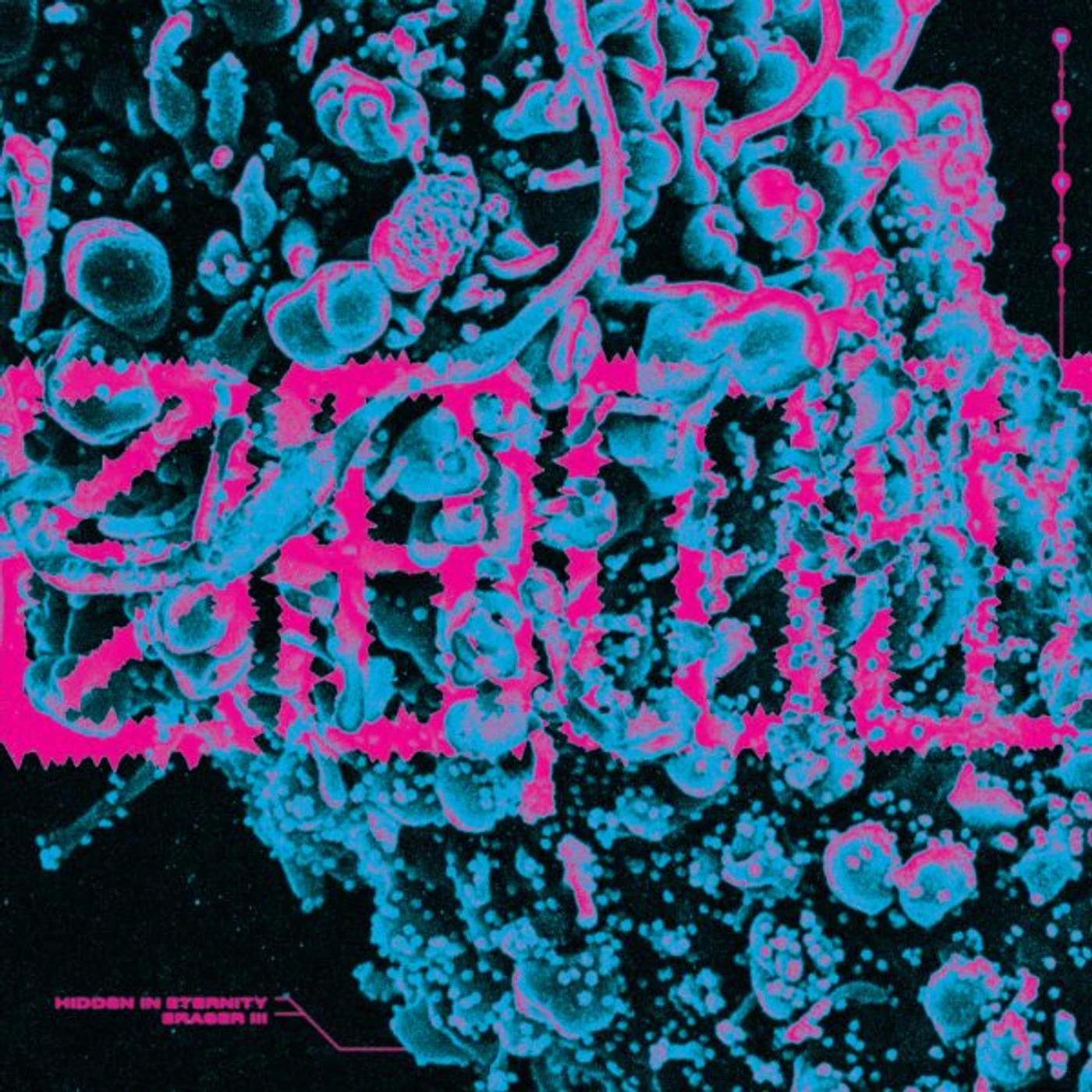 S.H.I.T. HIDDEN IN ETERNITY / ERASER III Vinyl Record