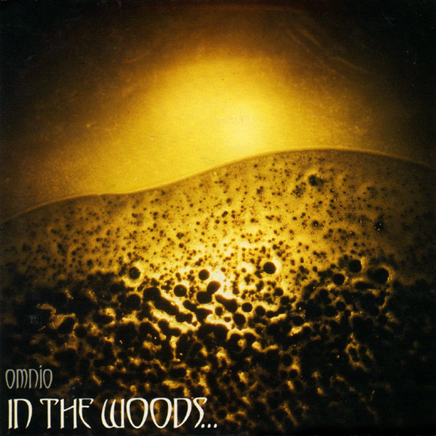 In The Woods... OMNIO (2LP/CLEAR VINYL) Vinyl Record