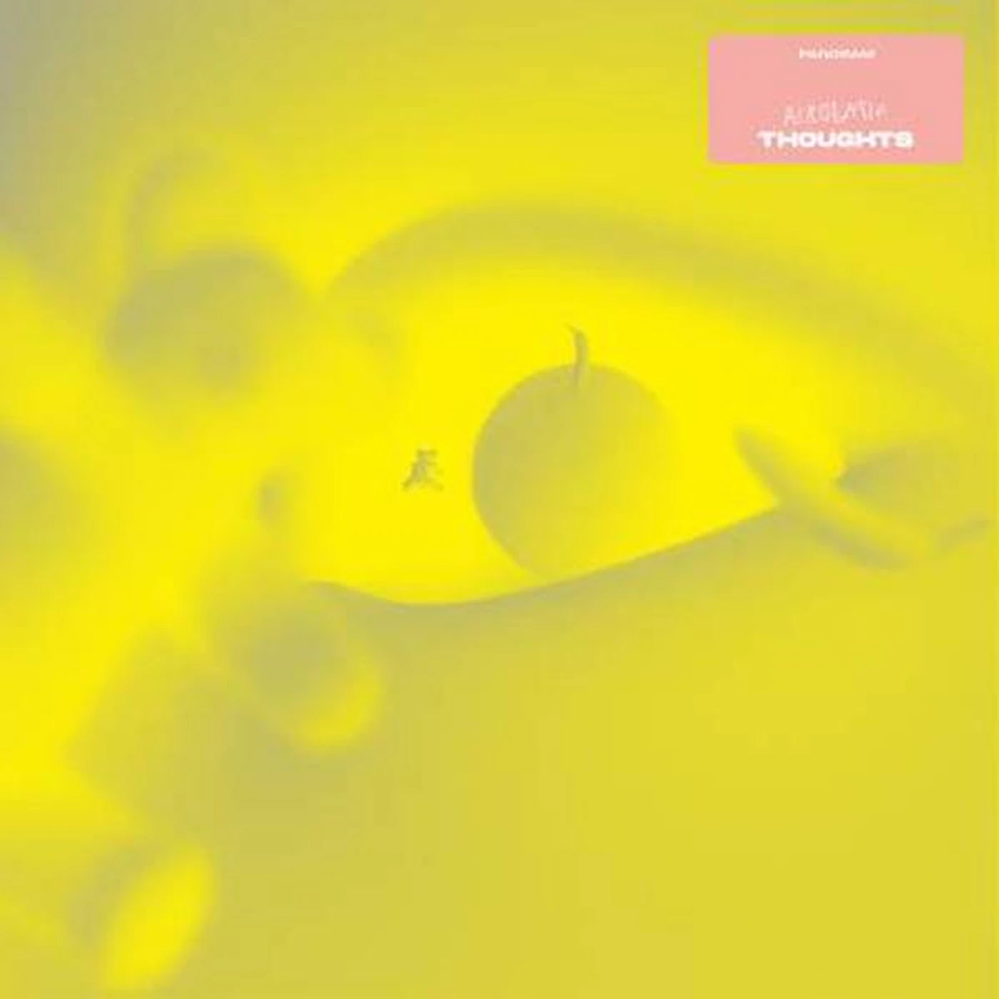 Panoram Acrobatic Thoughts Vinyl Record