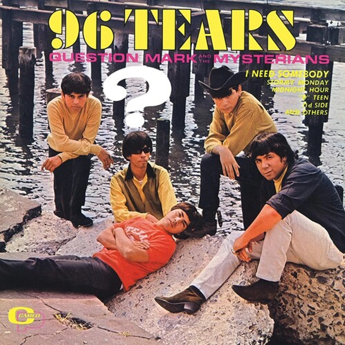 ? & The Mysterians 96 Tears Vinyl Record