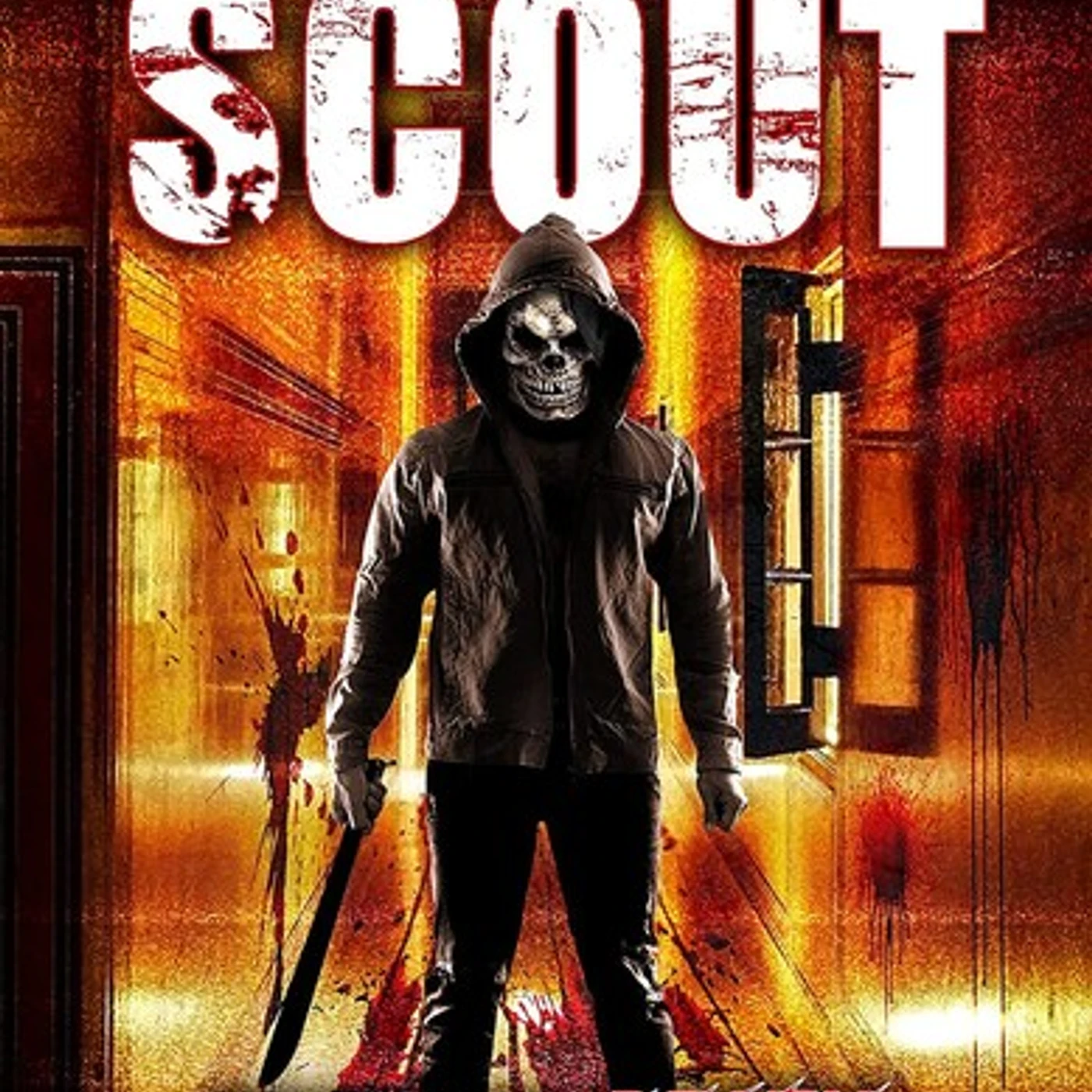 SCOUT DVD