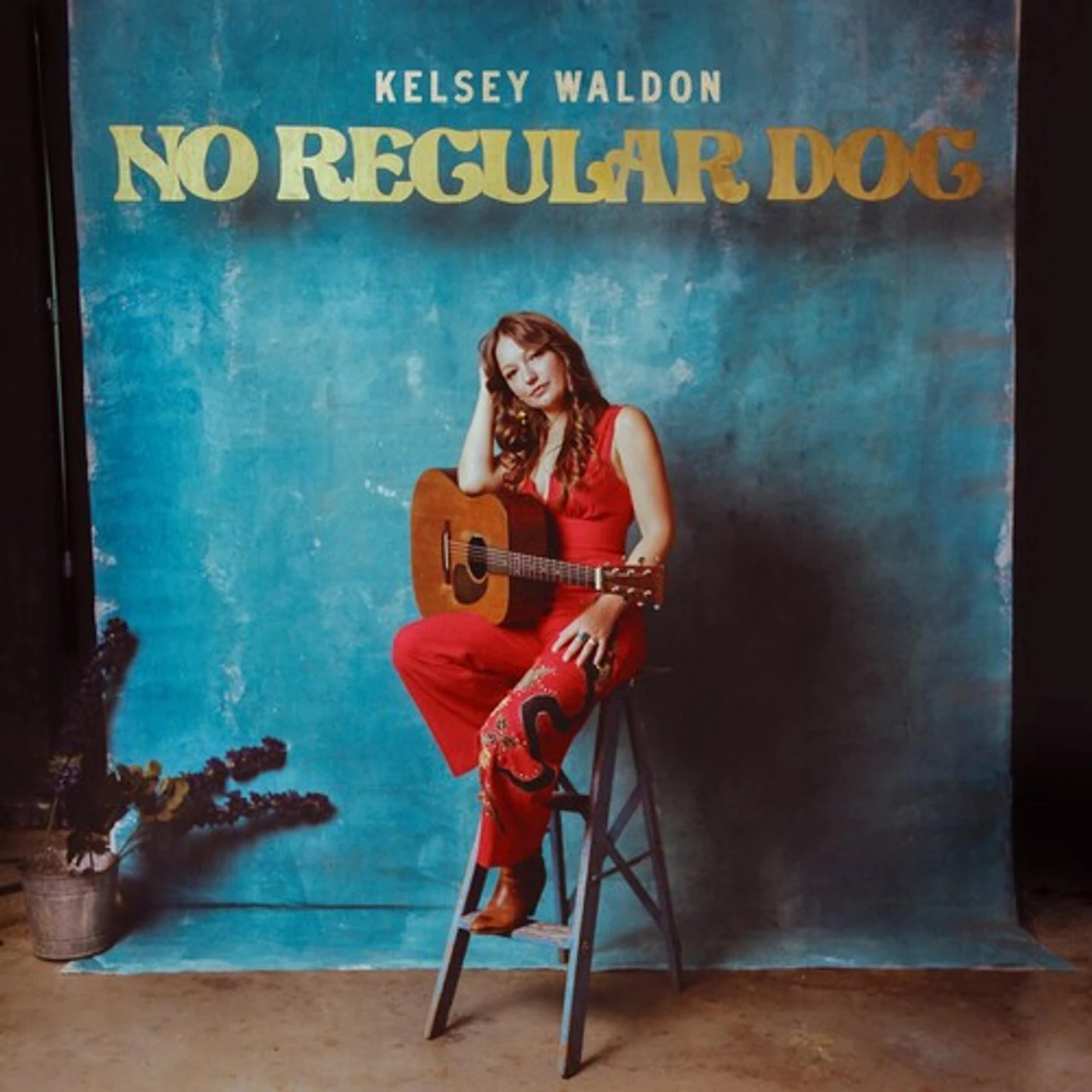 Kelsey Waldon NO REGULAR DOG CD