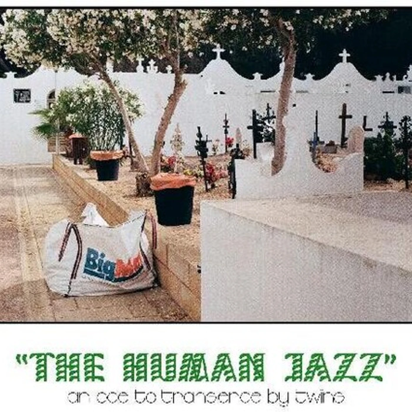 Twins HUMAN JAZZ Vinyl Record