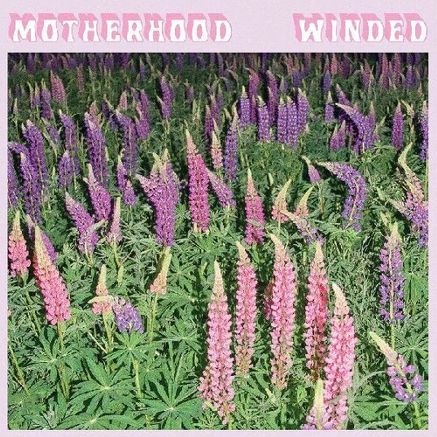 The Motherhood WINDED CD