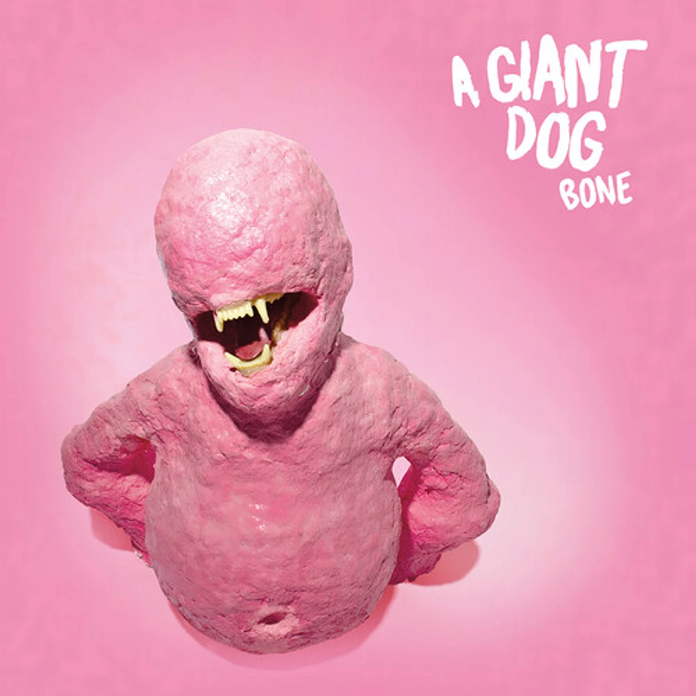 A Giant Dog Bone Vinyl Record