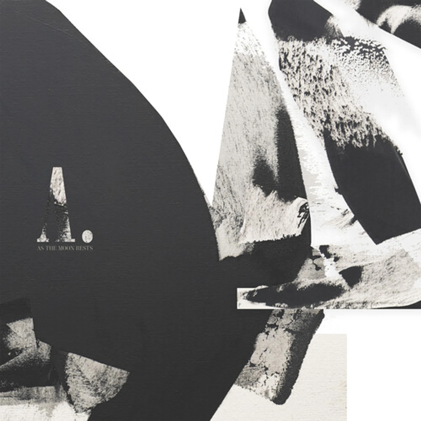 A Williams As The Moon Rests Vinyl Record