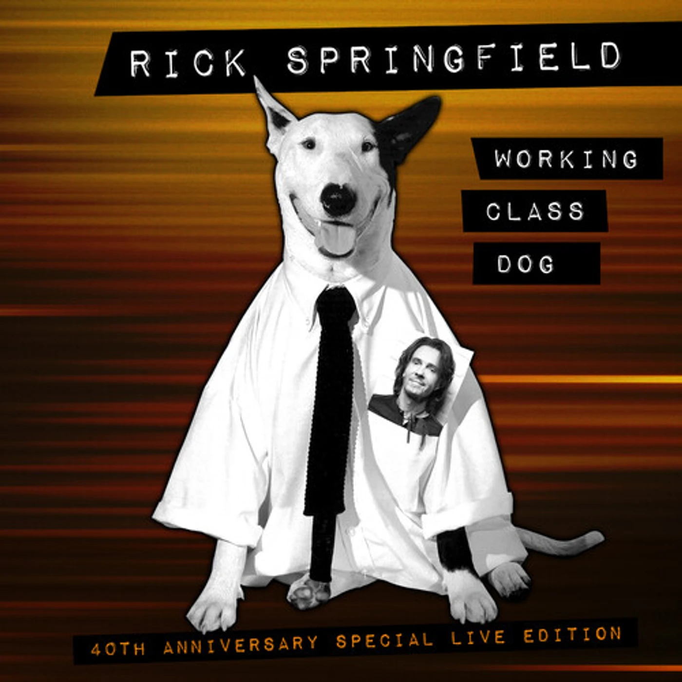 Rick Springfield Working Class Dog (40th Anniv. Special Live Ed.) Vinyl Record