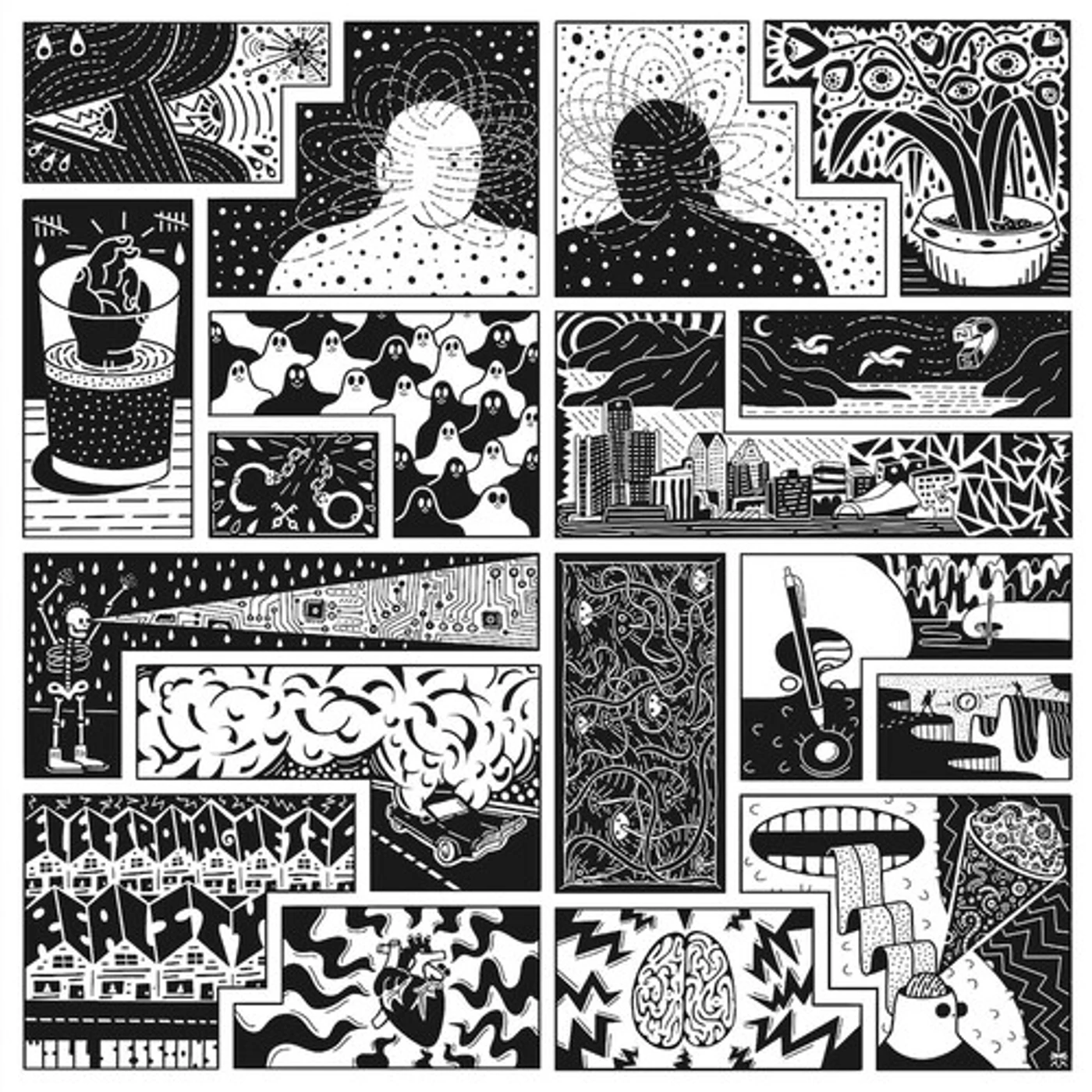 Will Sessions ELECTROMAGNETIC REALITY CD