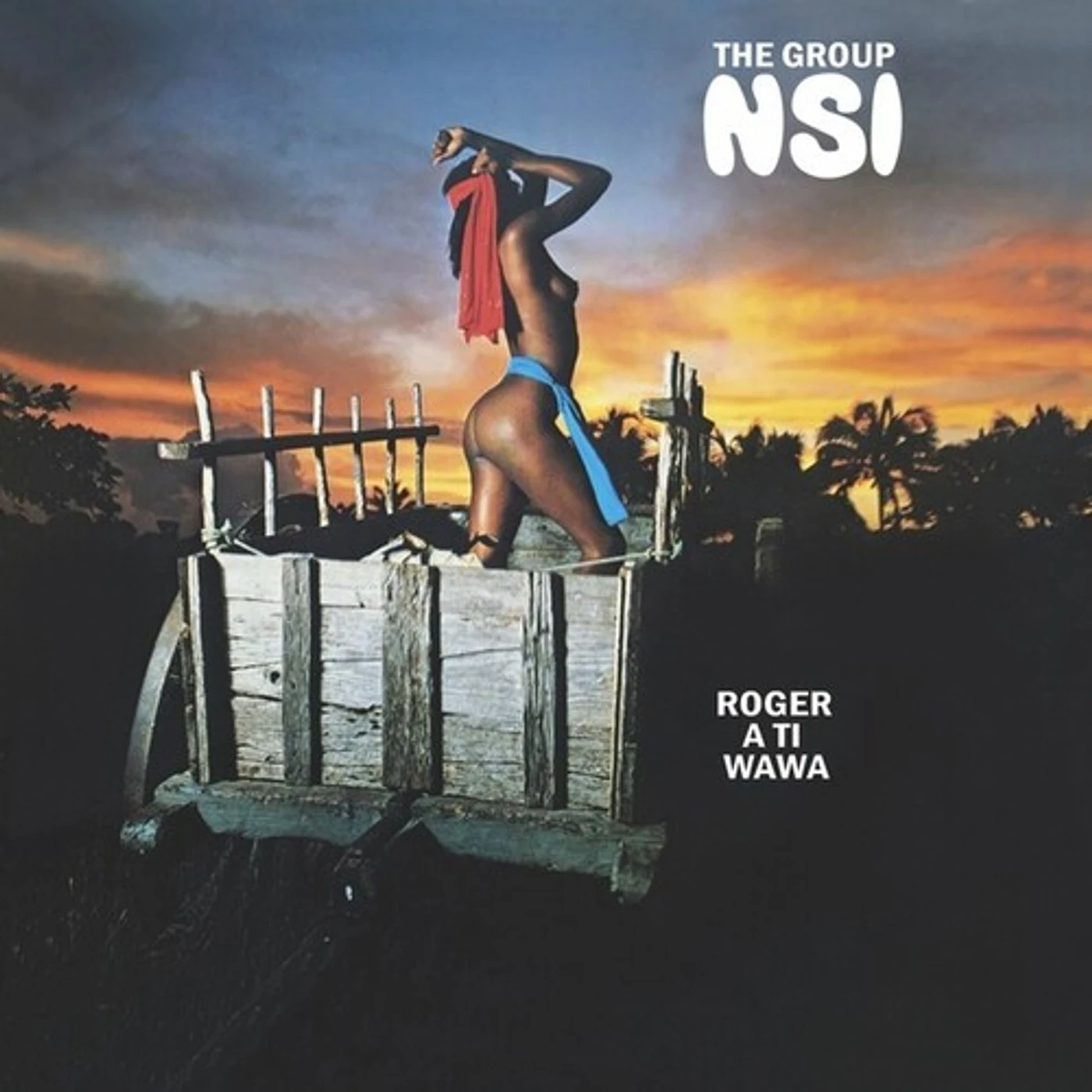 The Group NSI Roger a Ti Wawa Vinyl Record
