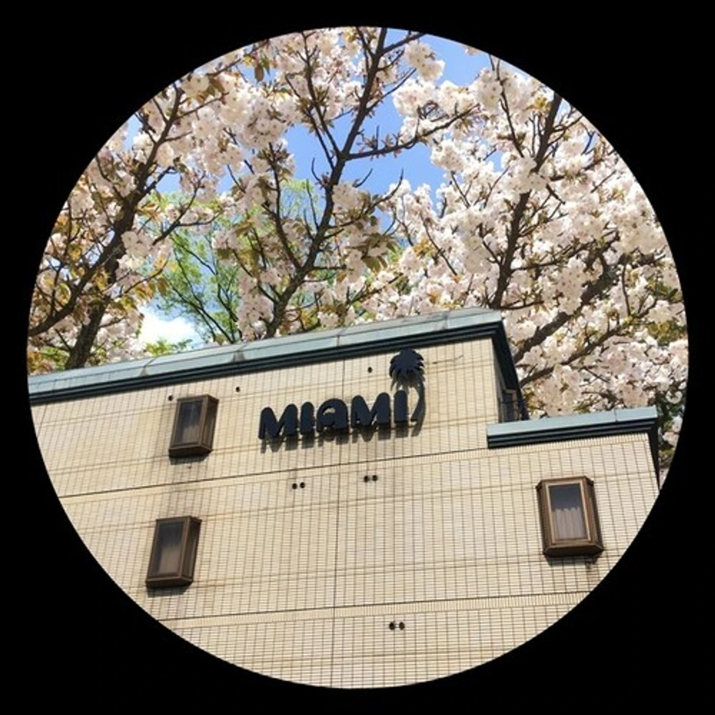 Clive From Accounts PEARLS Vinyl Record