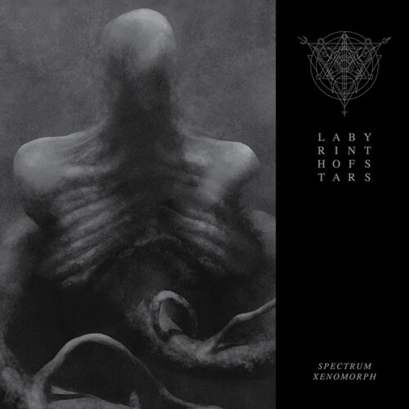 Labyrinth of Stars Spectrum Xenomorph Vinyl Record