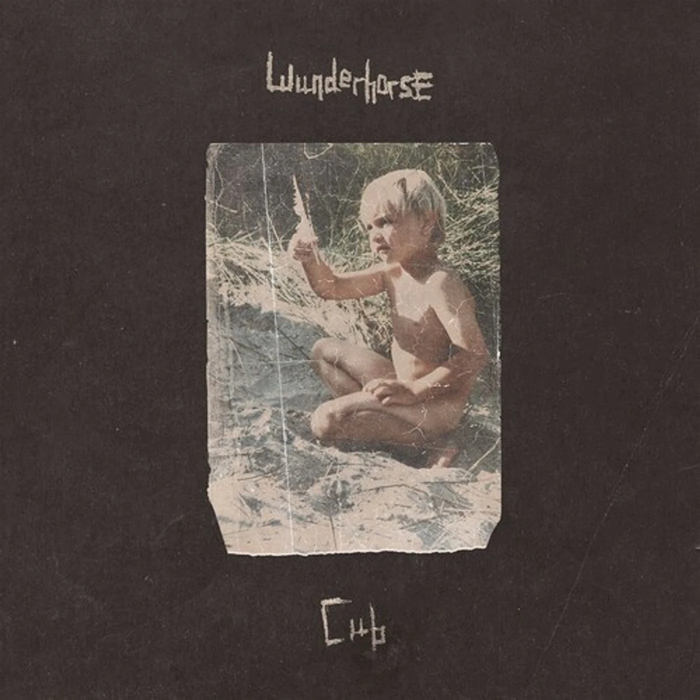 Wunderhorse CUB CD