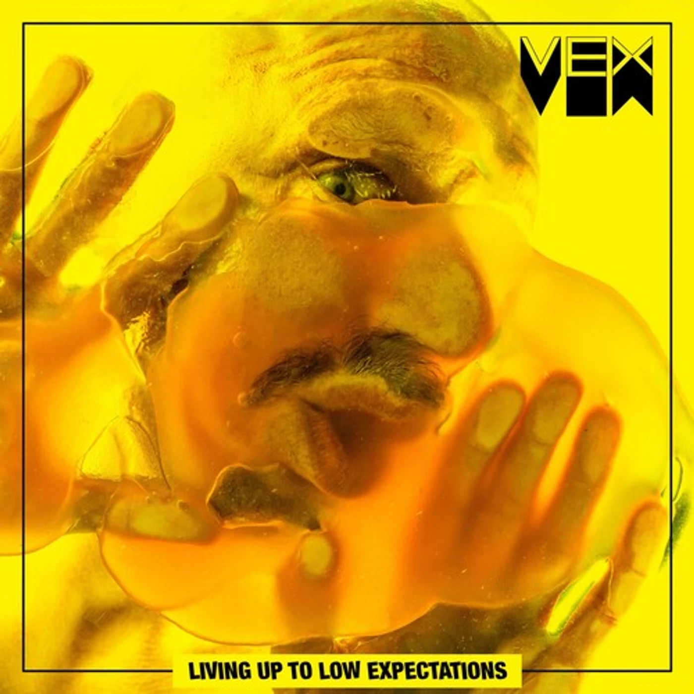 VEX LIVING UP TO LOW EXPECTATIONS CD