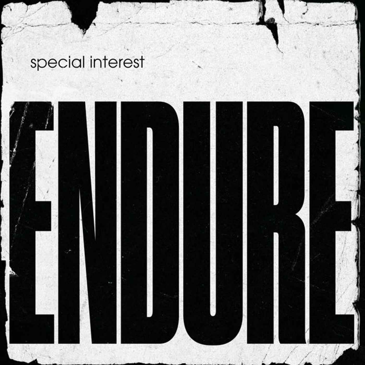 Special Interest Endure Vinyl Record