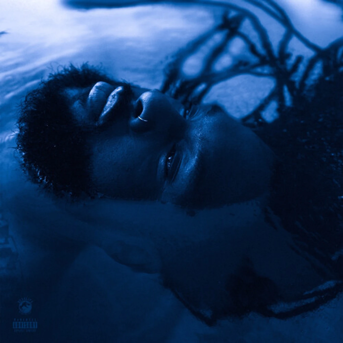 Rexx Life Raj Blue Hour Vinyl Record
