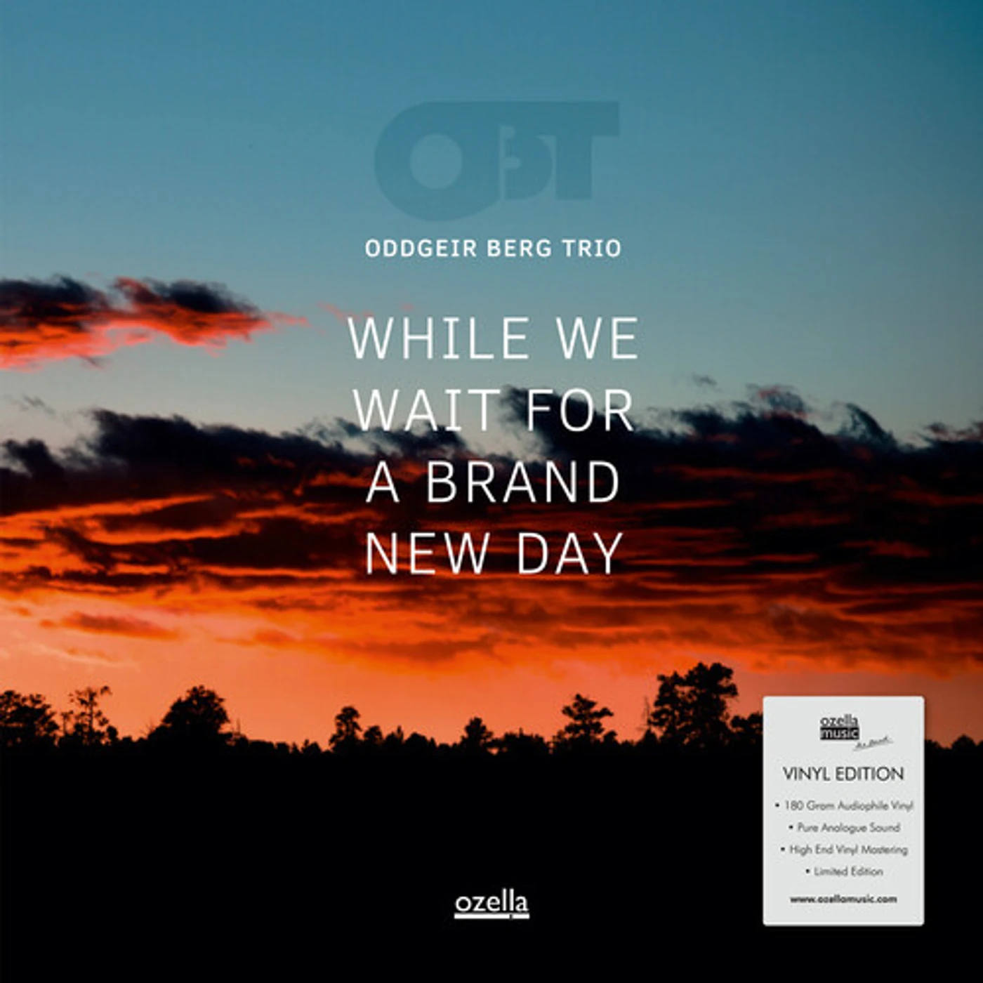 Oddgeir Berg Trio While We Wait For A Brand New Day Vinyl Record