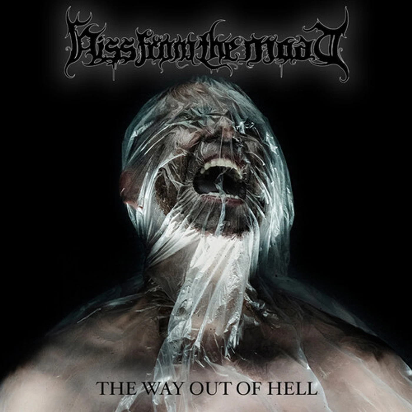Hiss From The Moat WAY BACK FROM HELL CD