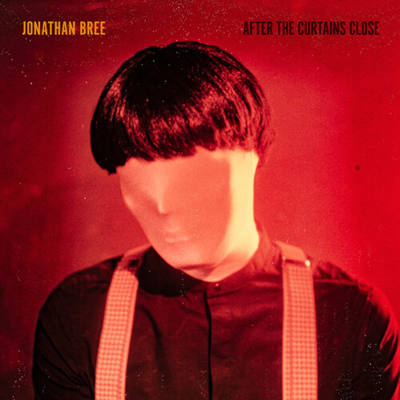 Jonathan Bree After the Curtains Close Vinyl Record