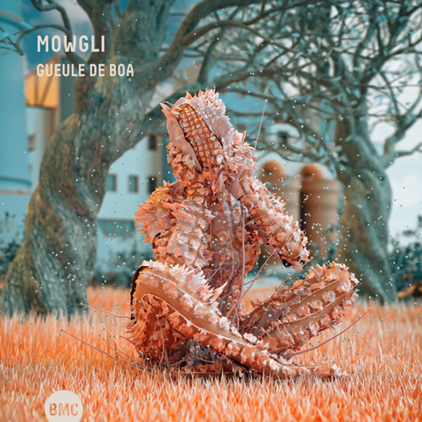 Mowgli GUEULE DE BOA CD