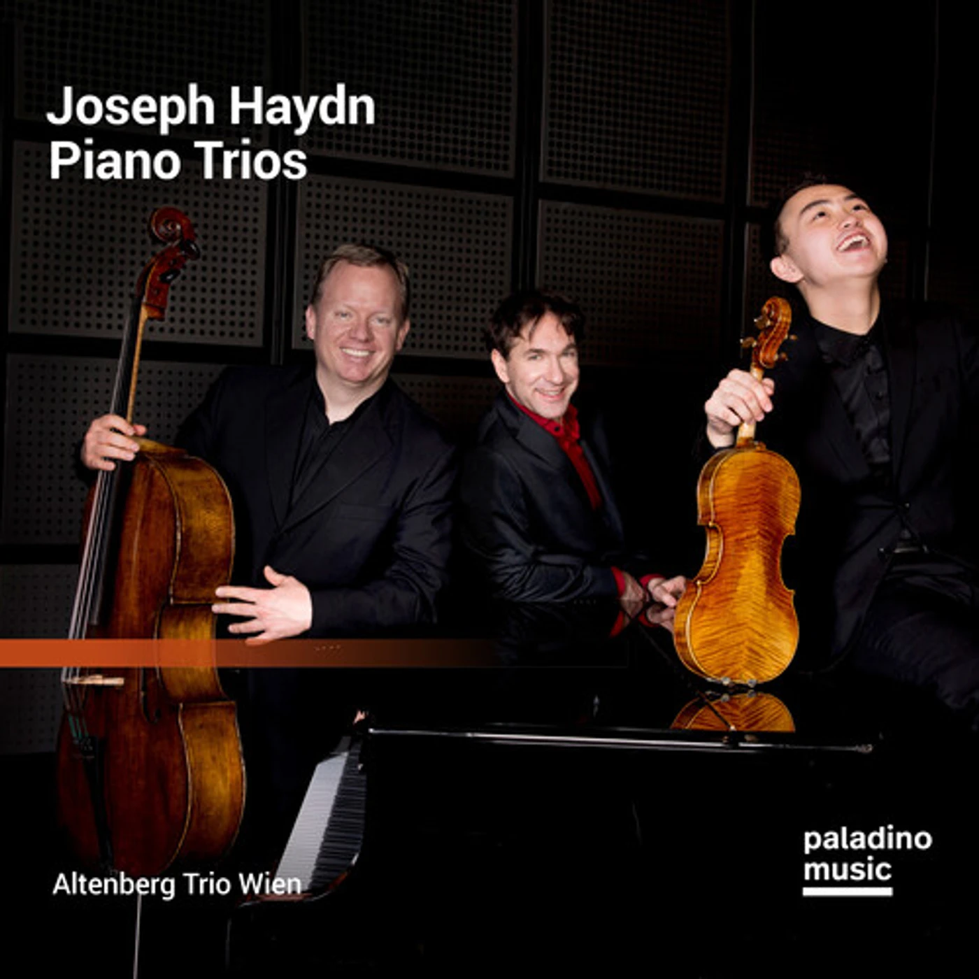 Altenberg Trio Wien JOSEPH HAYDN: PIANO TRIOS CD