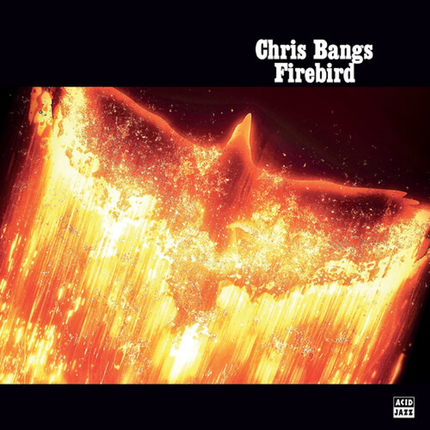 Chris Bangs Firebird Vinyl Record