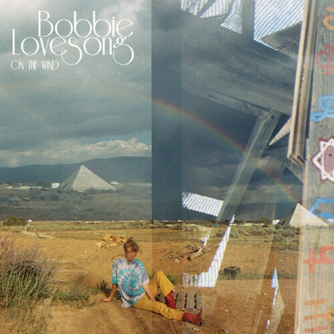 Bobbie Lovesong On the Wind Vinyl Record