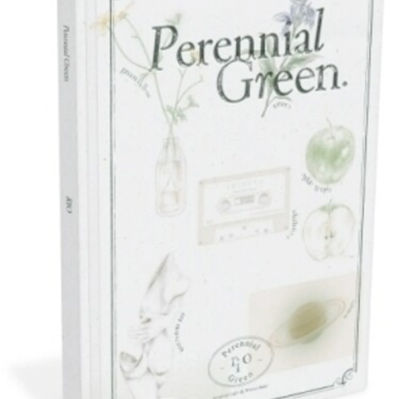 Rio PERENNIAL GREEN CD