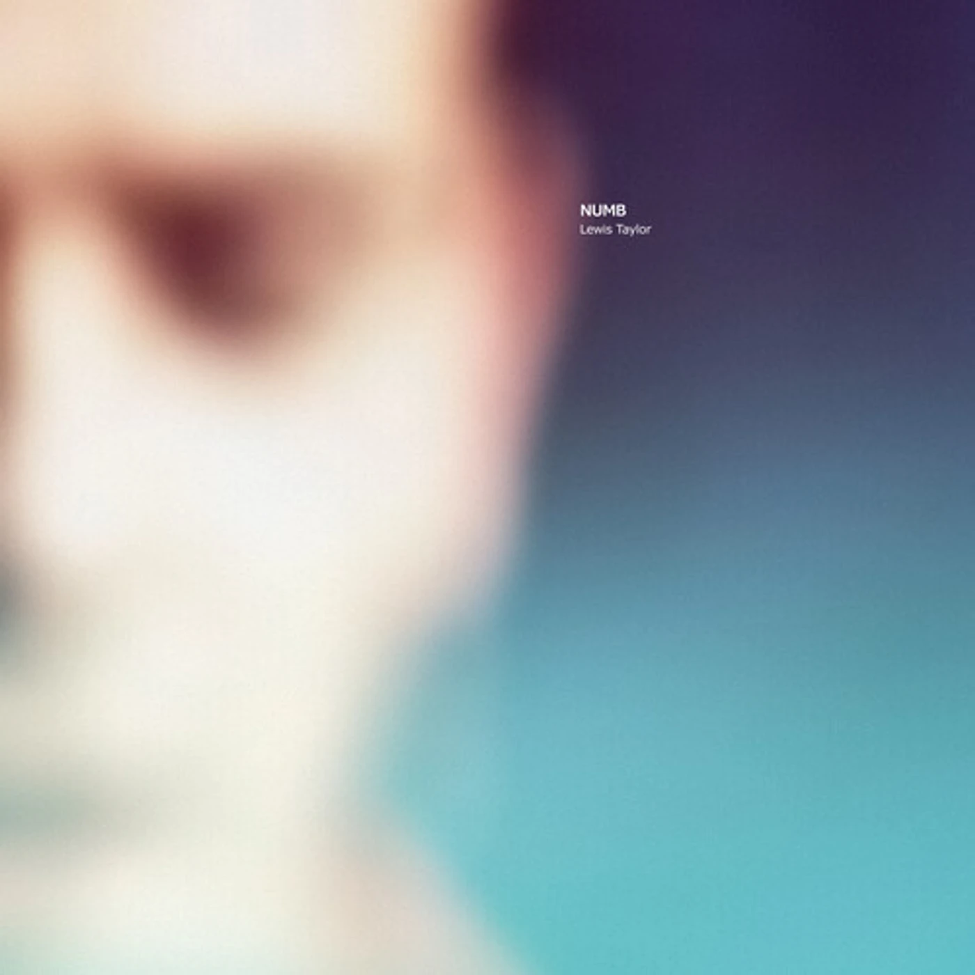 Lewis Taylor NUMB Vinyl Record