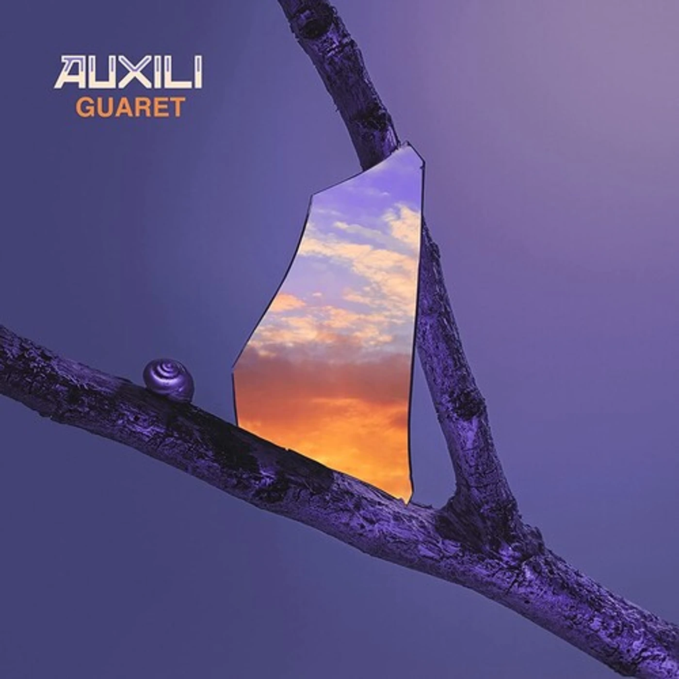 Auxili Guaret Vinyl Record