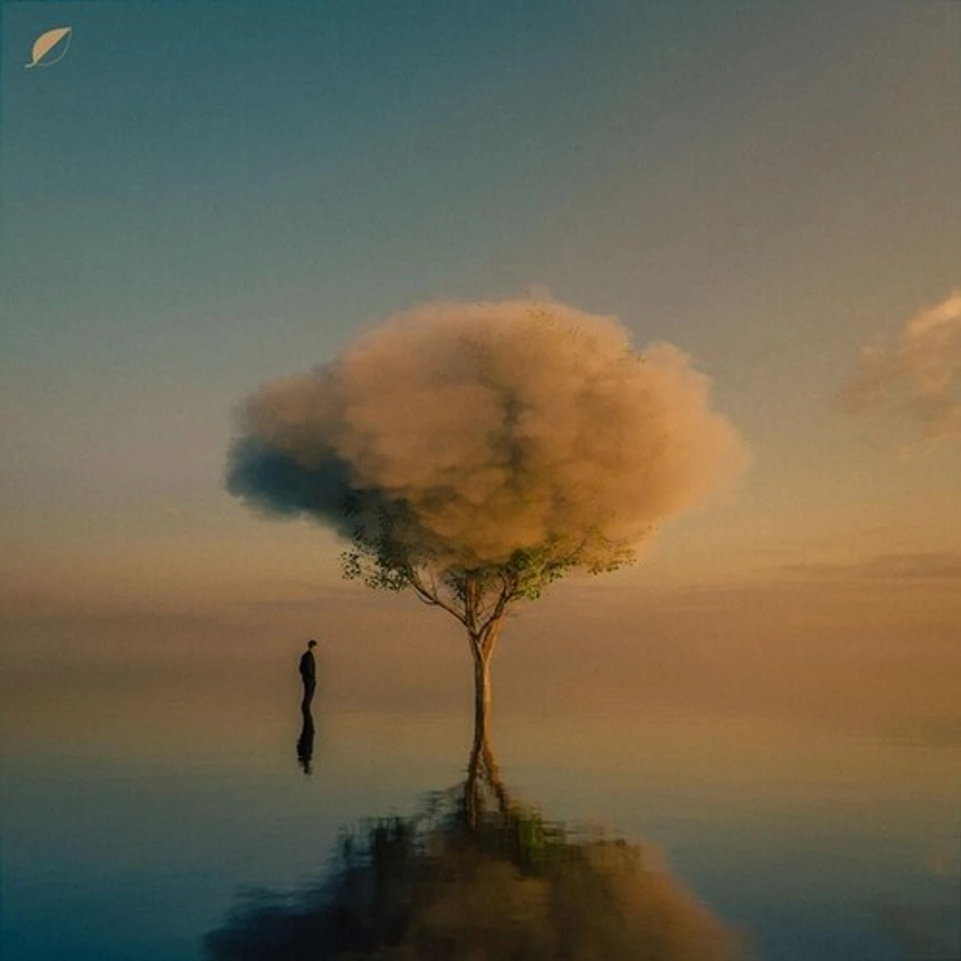 Fejká Hiraeth Vinyl Record