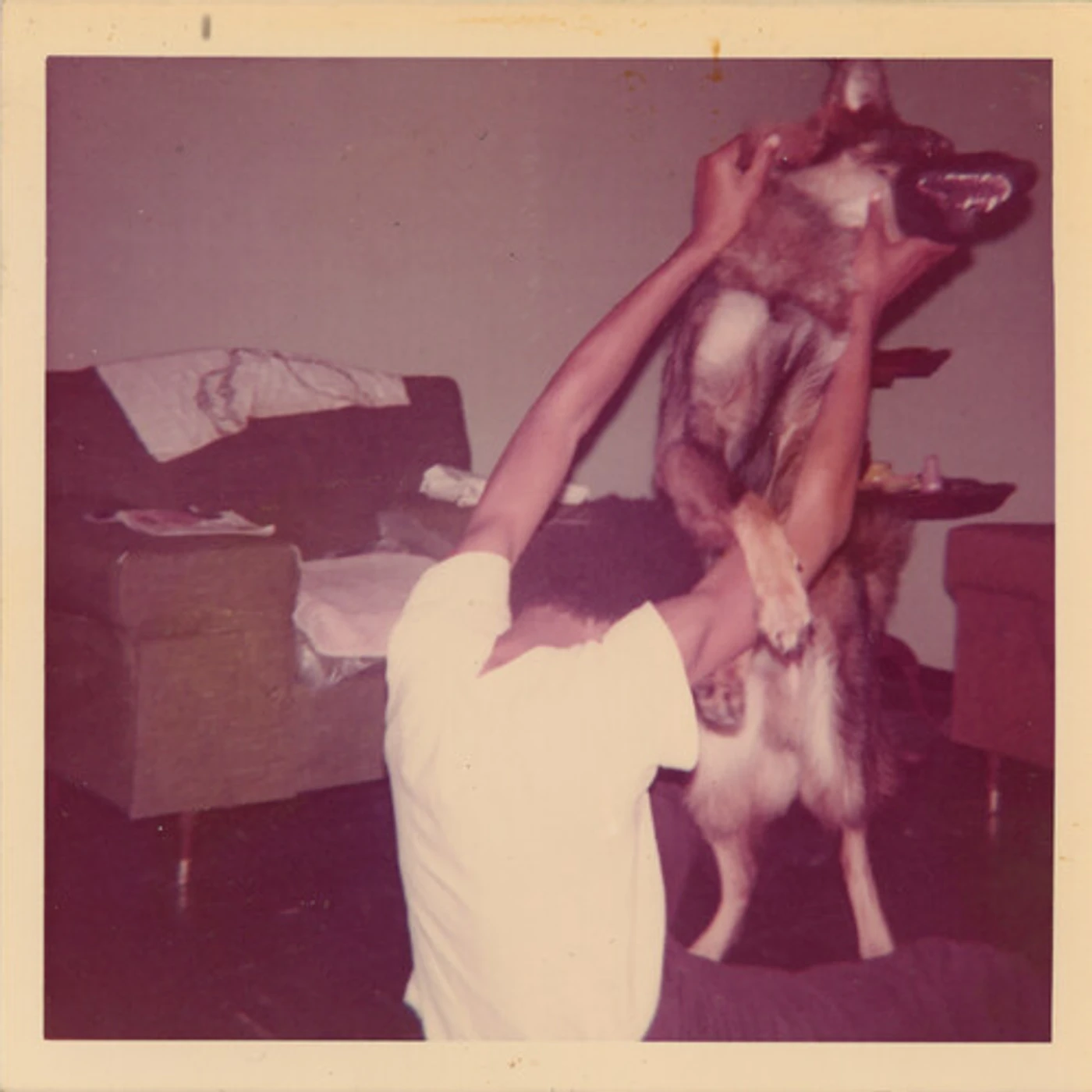 Elucid I Told Bessie Vinyl Record