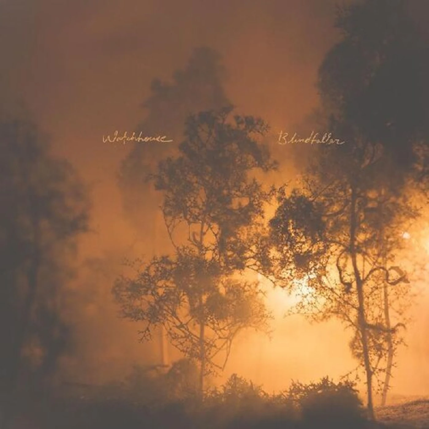 Watchhouse BLINDFALLER CD