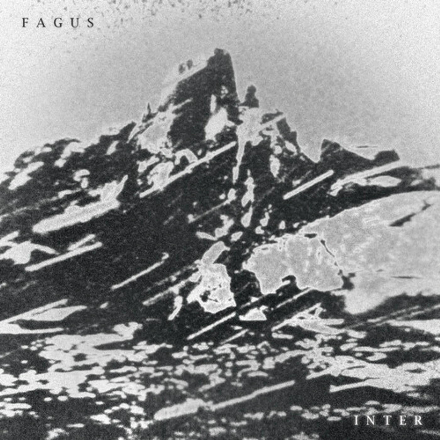 Fagus INTER CD