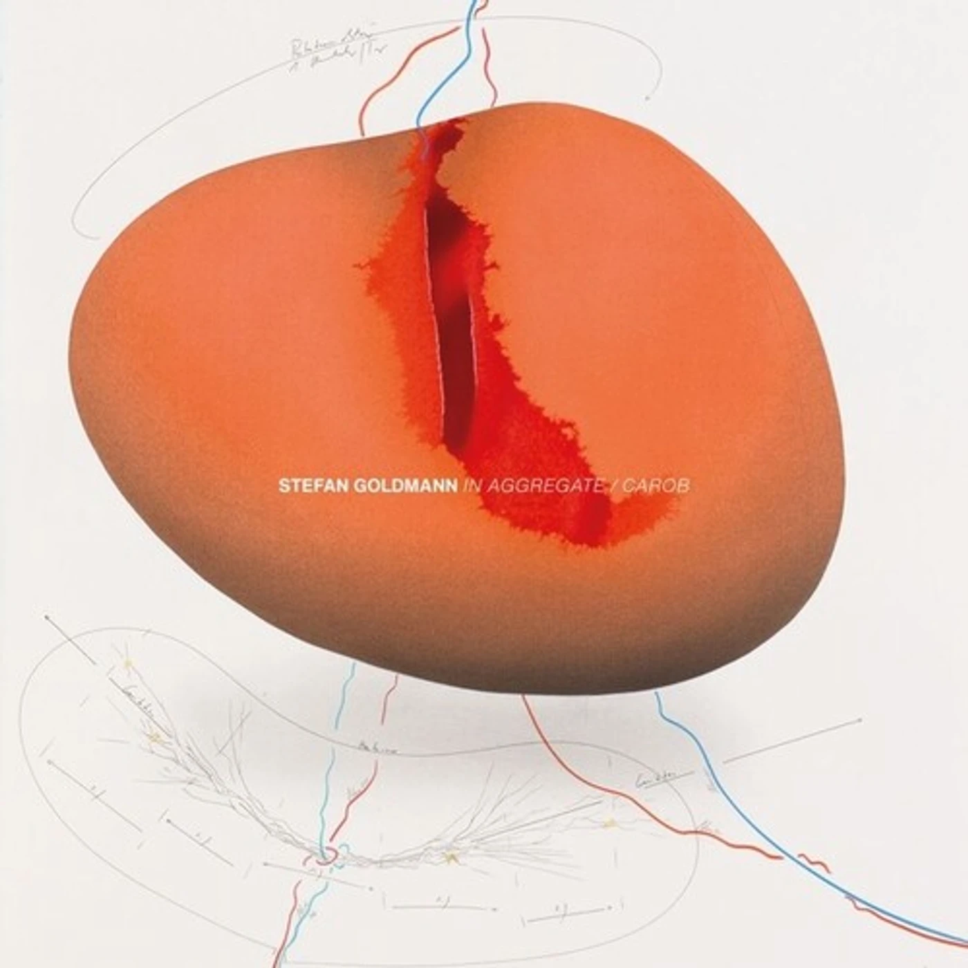 Stefan Goldmann IN AGGREGATE / CAROB Vinyl Record