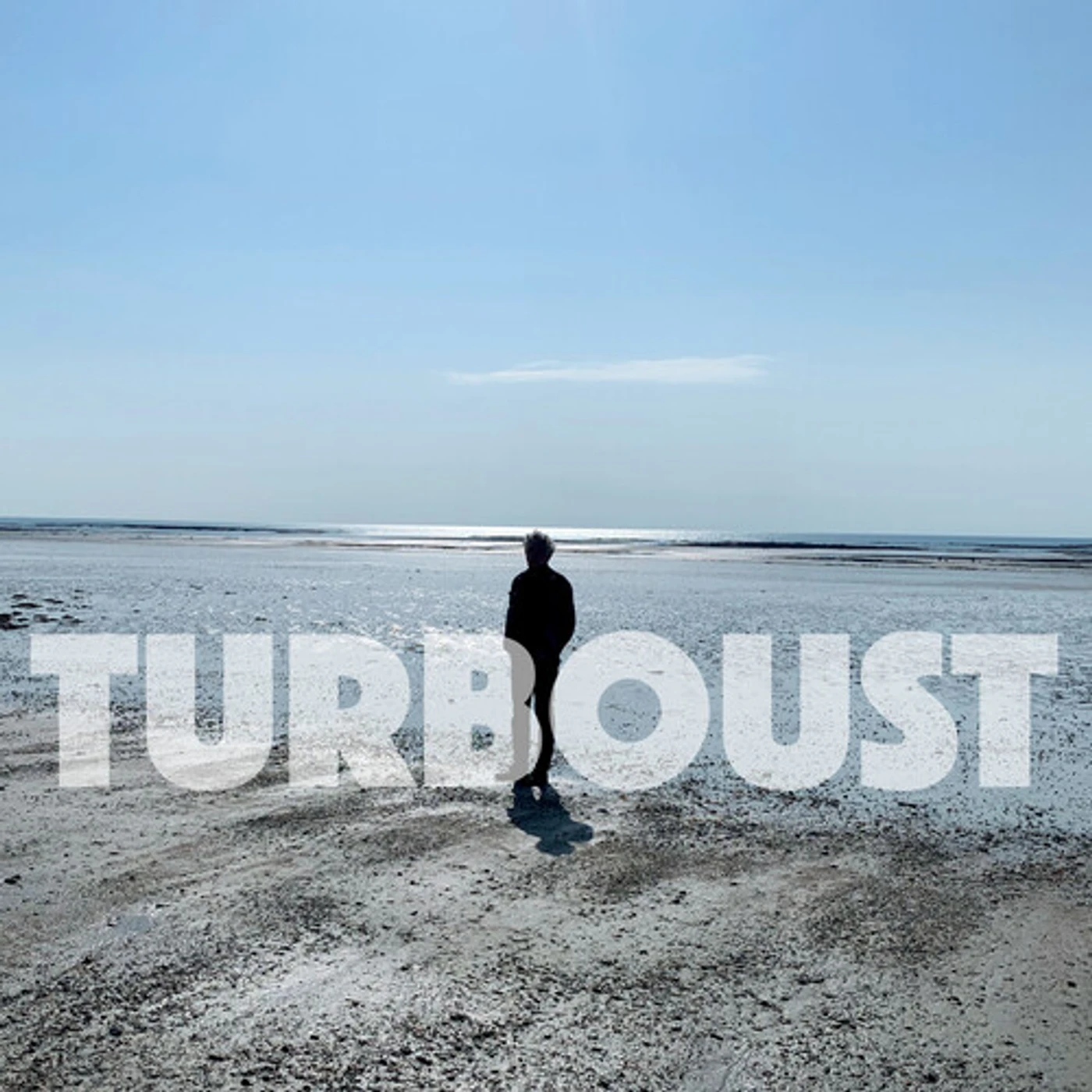 Arnold Turboust Sur la photo Vinyl Record