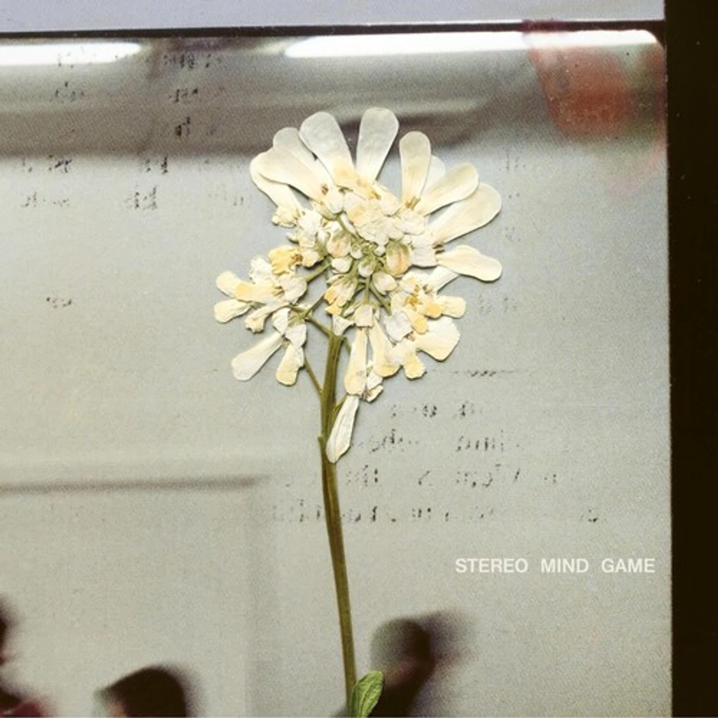 Daughter STEREO MIND GAME CD