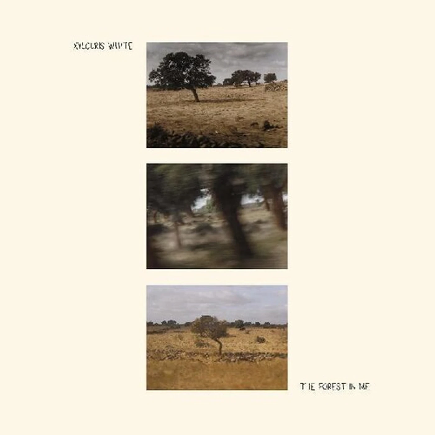 Xylouris White FOREST IN ME CD