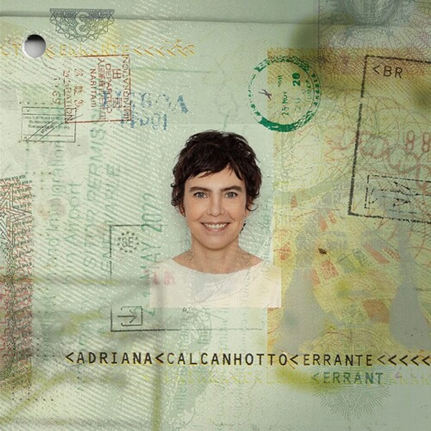Adriana Calcanhotto Errante Vinyl Record