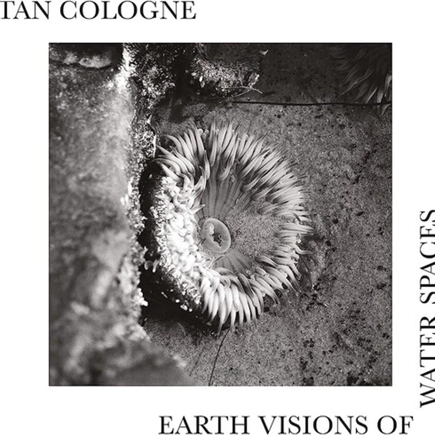 Tan Cologne Earth Visions Of Water Spaces Vinyl Record