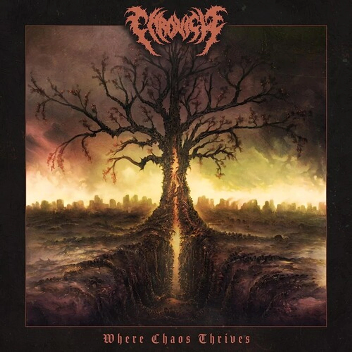Chronicle WHERE CHAOS THRIVES CD