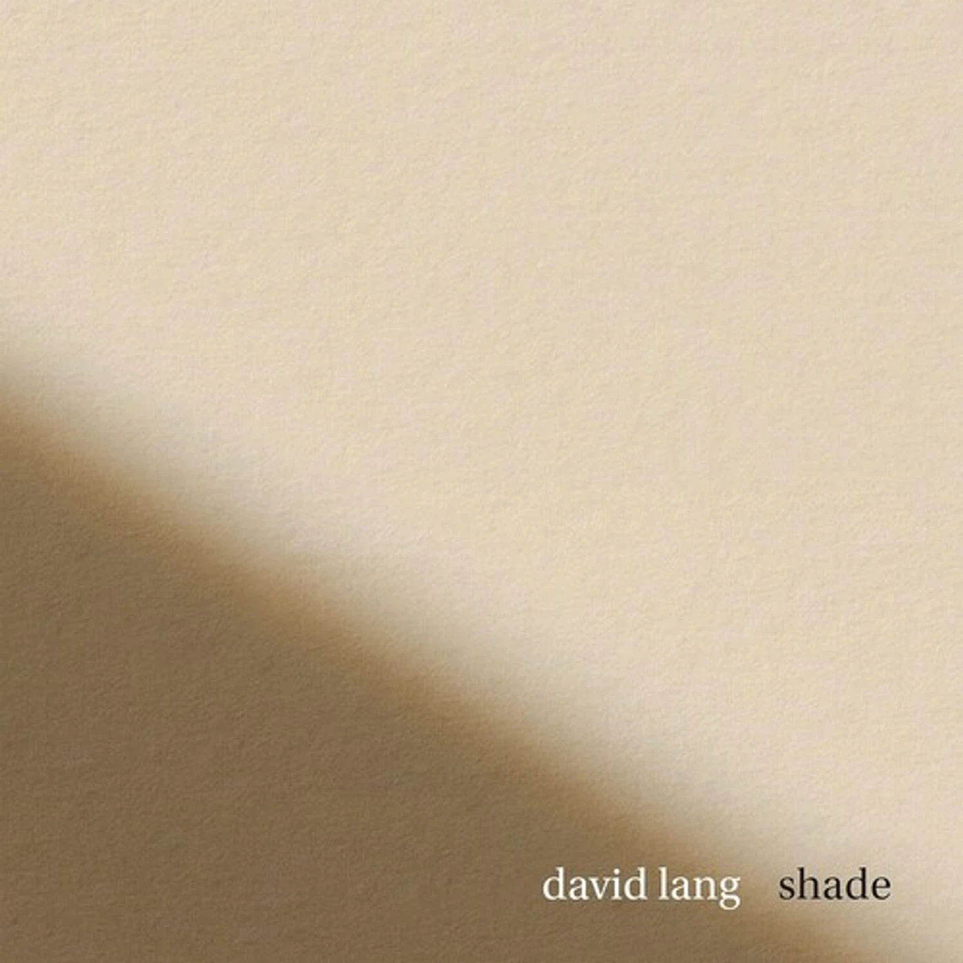 David Lang shade CD