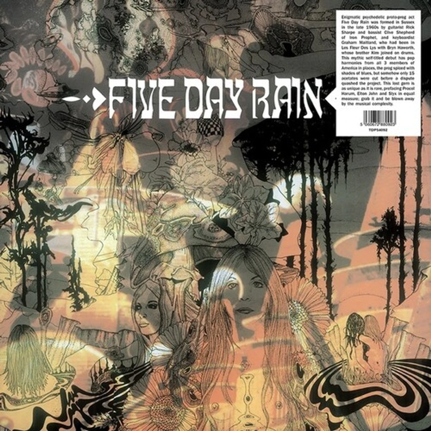 FIVE DAY RAIN Vinyl Record