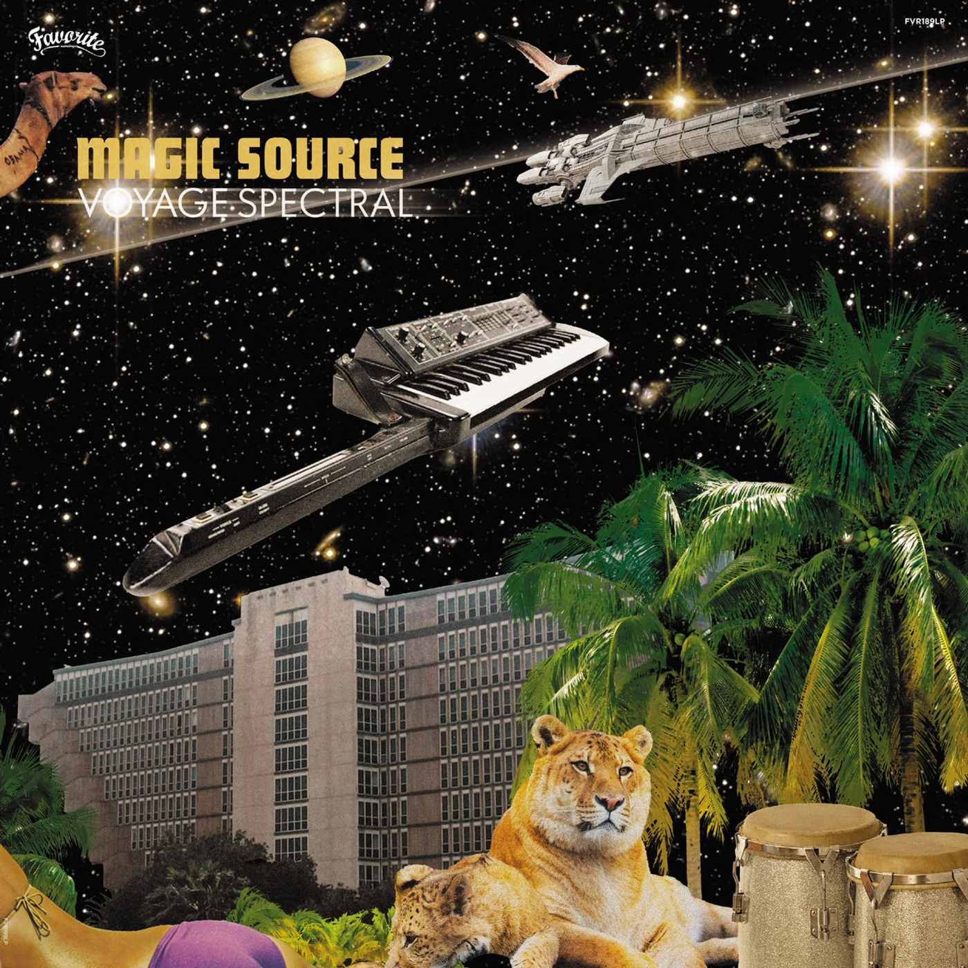 Magic Source VOYAGE SPECTRAL Vinyl Record
