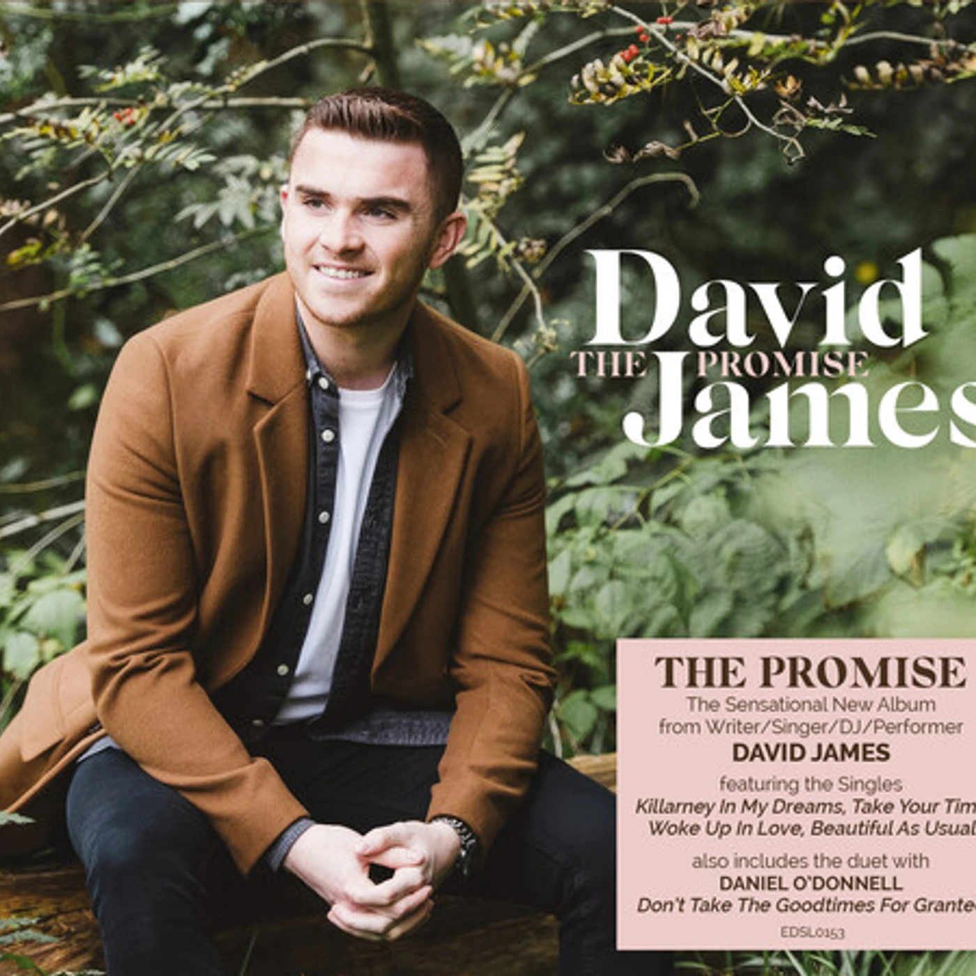David James PROMISE CD