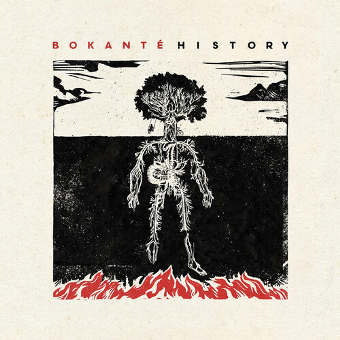 Bokanté HISTORY Vinyl Record